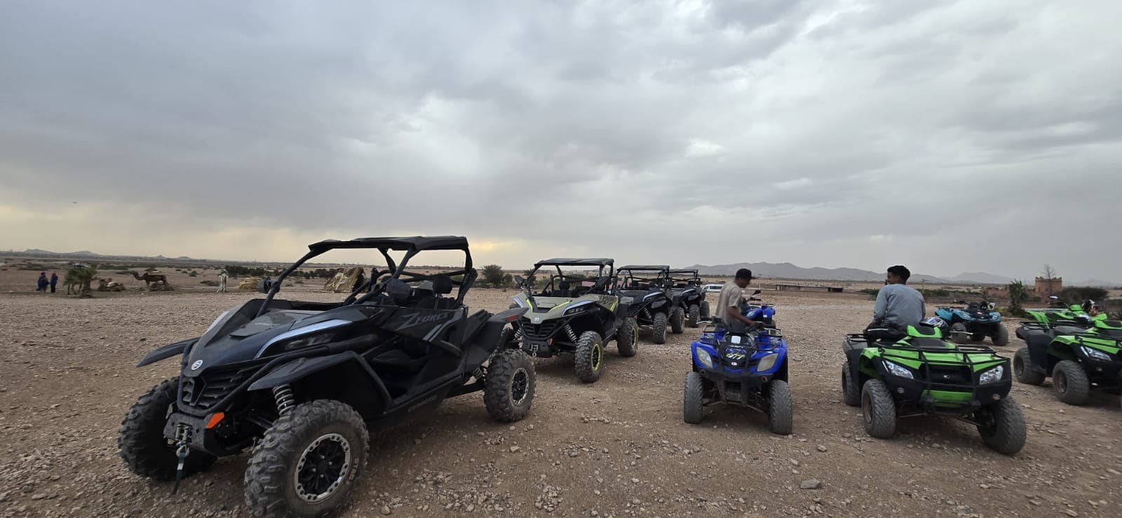 Quad and Buggy Desert Adventure