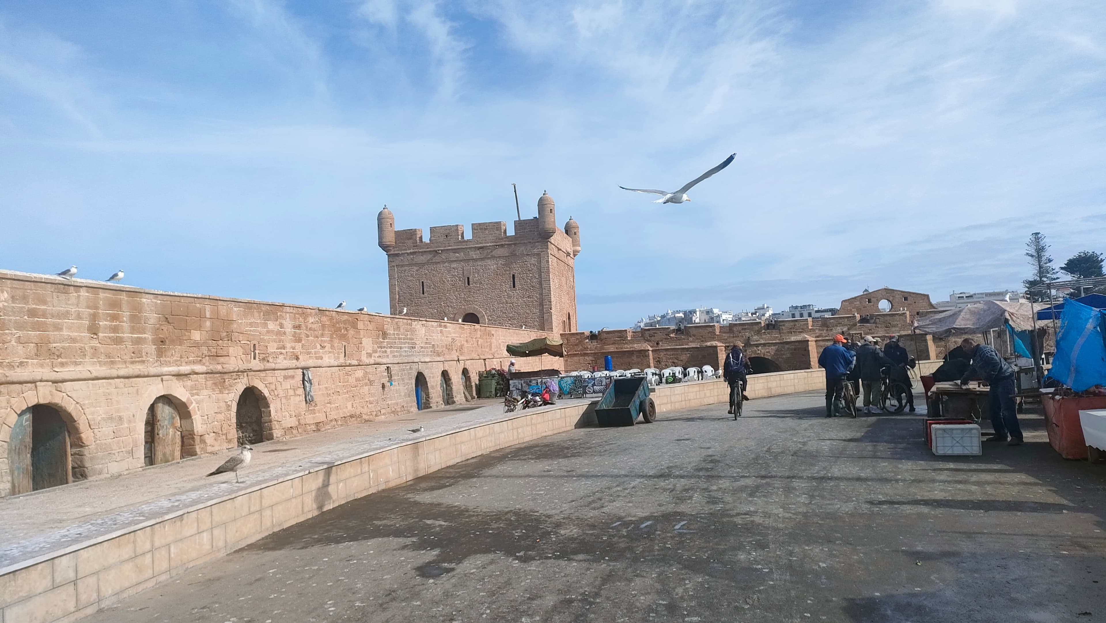 Essaouira Atlantic Escape